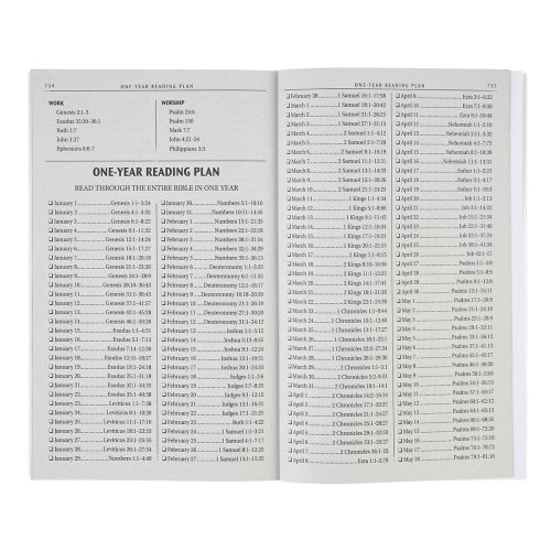 KJV Bible Outreach Softcover, Lion