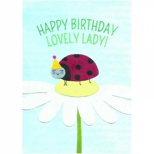 Ladybug Birthday