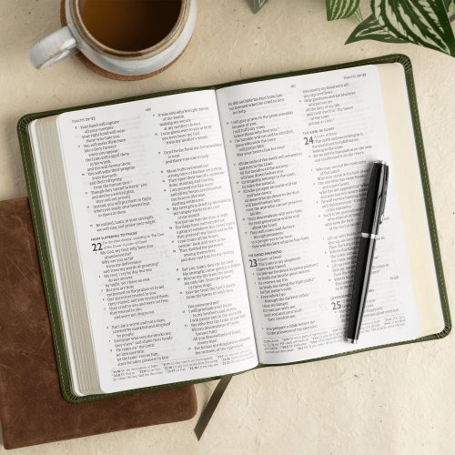 CSB Thinline Bible, Anglicised Edition, Olive Leathertouch