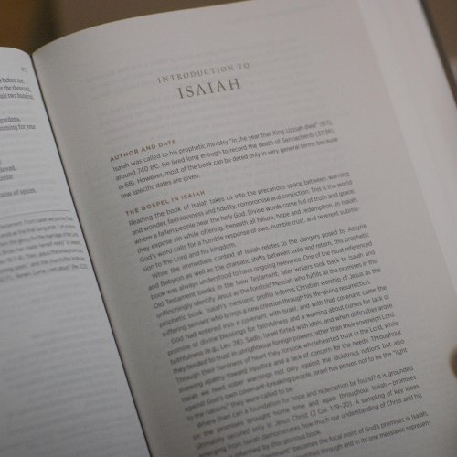 ESV Applying the Gospel Study Bible for Men (Hardcover)