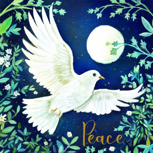 Tearfund - Moonlit Dove (Pack Of 10)