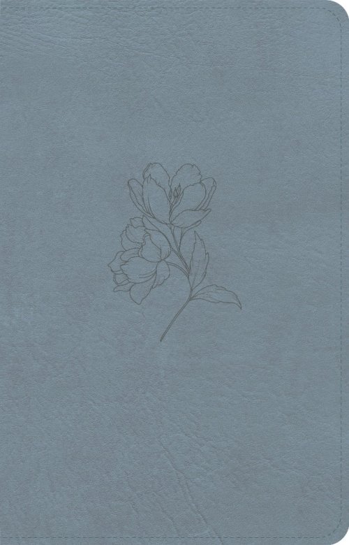 CSB Personal Size Bible, Digital Study Edition, Blue