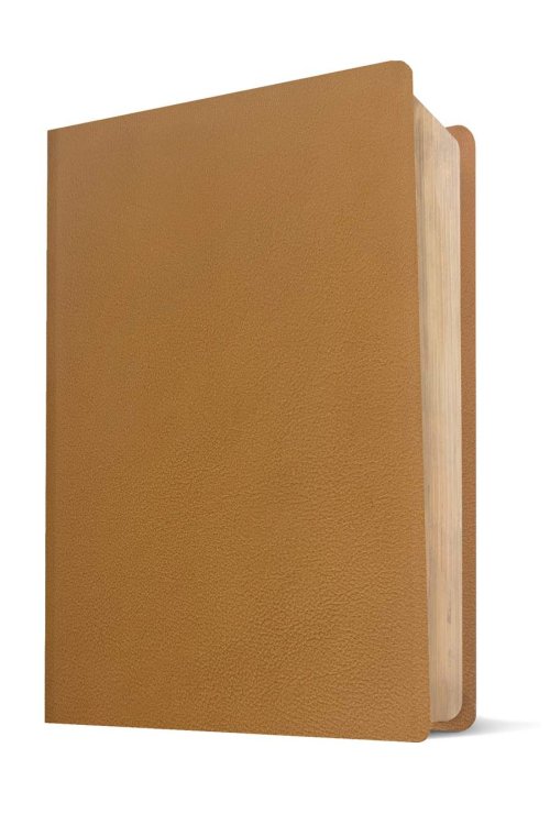 NLT Every Woman's Bible, Filament Enabled (Genuine Leather, Camel, Red Letter)