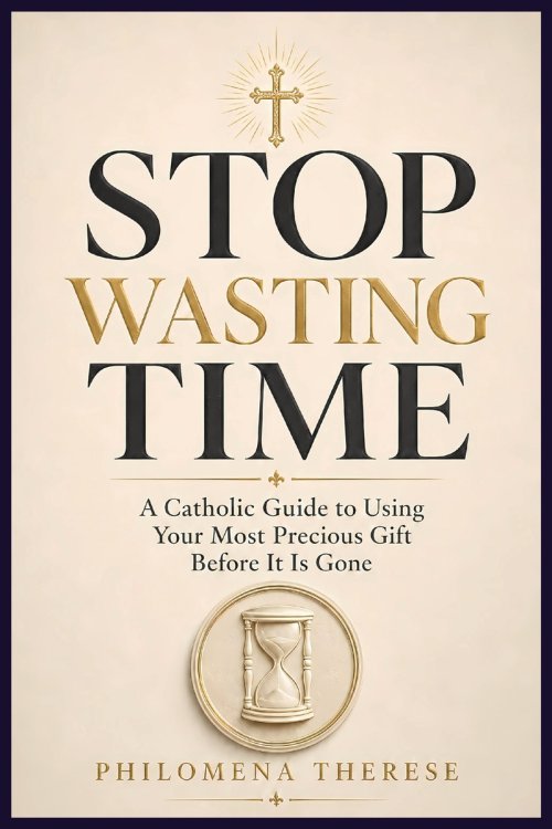Stop Wasting Time: A Catholic Guide to Using Your Most Precious Gift Before It Is Gone