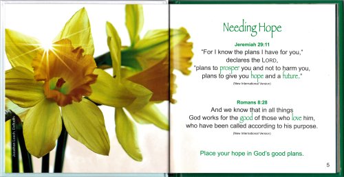 A Bouquet of Promises Book