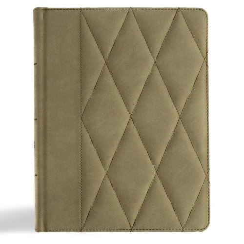 CSB Notetaking Bible, Large Print Edition, Sage Suedesoft