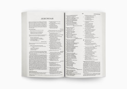 ESV Share the Good News Outreach Bible (Paperback)