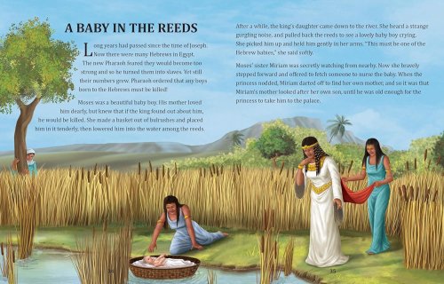 The Illustrated Children's Bible