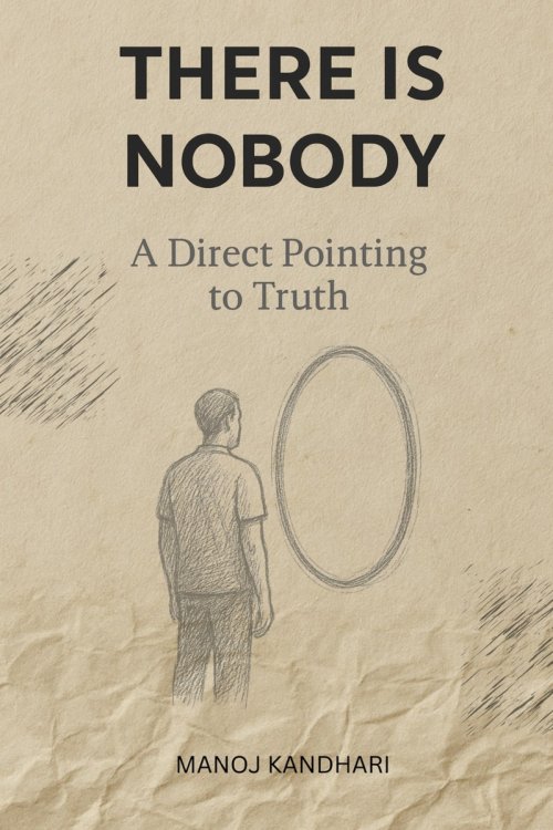 There is Nobody - A Direct Pointing to Truth