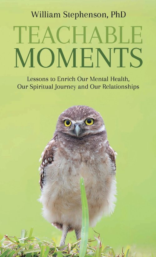 Teachable Moments: Lessons to Enrich  Our Mental Health,  Our Spiritual Journey and Our Relationships