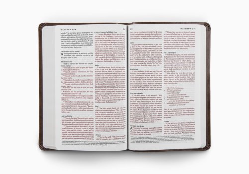 ESV Premium Gift Bible, Red Letter (TruTone, Brown)