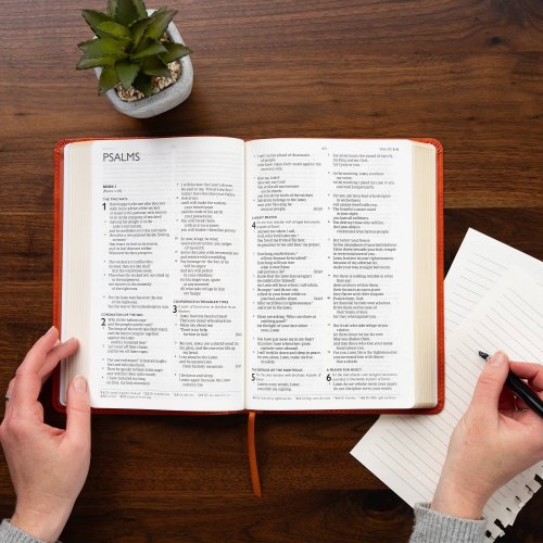 CSB Church Bible, Anglicised Edition, British Tan LeatherTouch