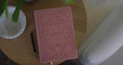 ESV Applying the Gospel Study Bible for Women (TruTone, Blush Rose, Colossians 3:16 Design)