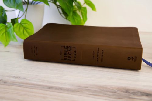 The Bible Recap 365-Day Chronological ESV Study Bible, Brown Imitation Leather