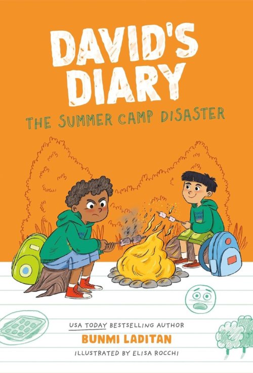The Summer Camp Disaster