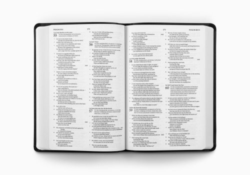 ESV Gift and Award Bible (TruTone, Black)