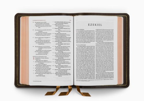 ESV Heirloom Bible, Alpha: Personal Size Edition (Calfskin, Mahogany)