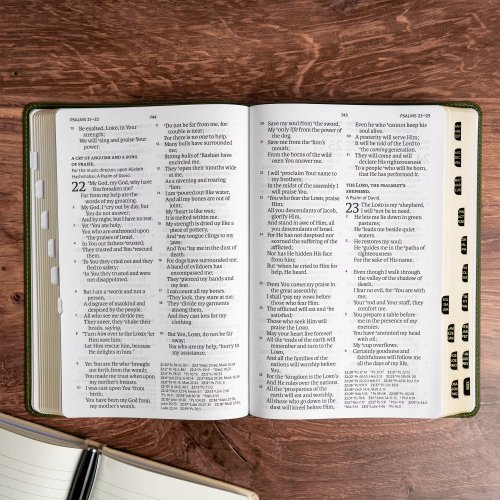 NASB Giant Print Reference Bible, Olive, Indexed