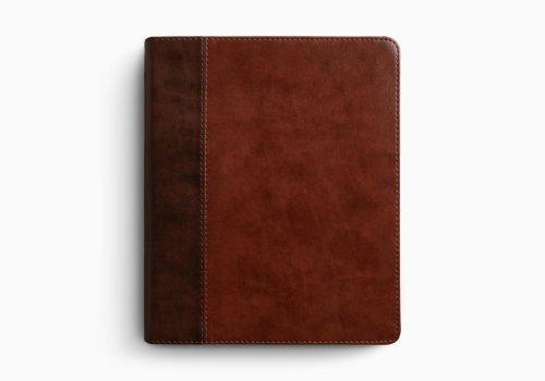 ESV Journaling Bible, Red Letter (TruTone, Brown/Tan, Timeless Design)