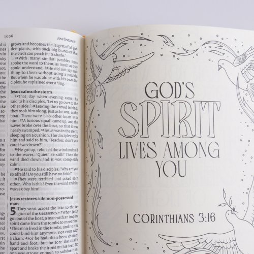 NIV Illuminated Bible - Wide Margin Art Journaling Edition