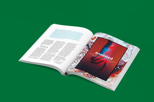 New Testament Experience