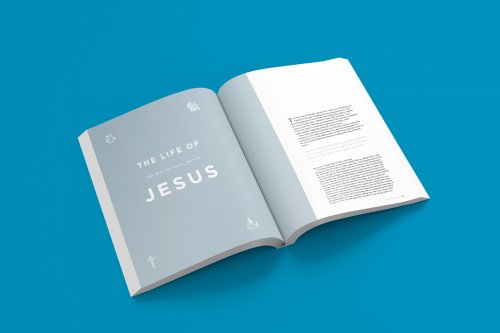 New Testament Experience