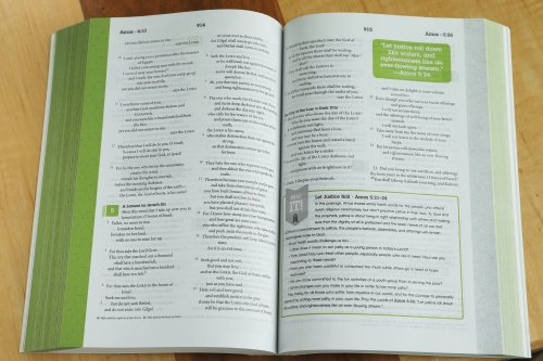NRSV Student Bible