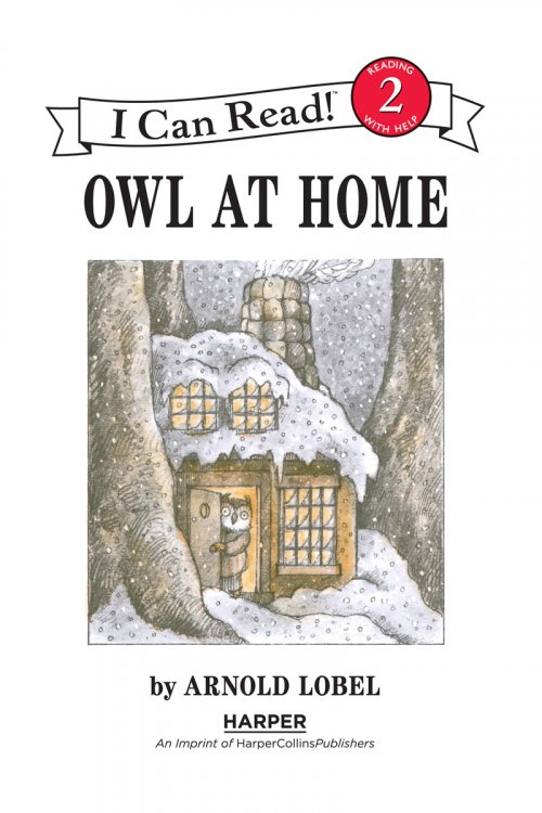 Owl at Home