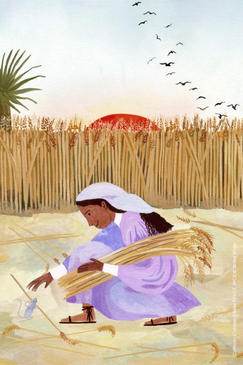 ESV-CE Catholic Children's Bible, Yellow, Hardback, Anglicised, Deuterocanonical Books, Illustrated, Maps, Ribbon Marker, Footnotes