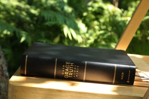 NASB, The Grace and Truth Study Bible (Trustworthy and Practical Insights), Bonded Leather, Black, Red Letter, 1995 Text, Comfort Print