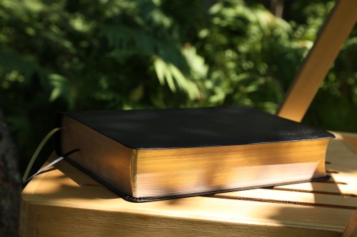 NASB, The Grace and Truth Study Bible (Trustworthy and Practical Insights), Bonded Leather, Black, Red Letter, 1995 Text, Comfort Print