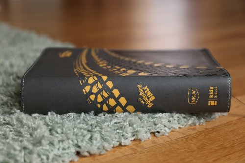 NKJV, Adventure Bible, Leathersoft, Gray, Full Color