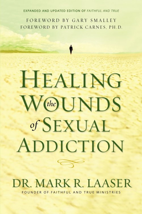 Healing the Wounds of Sexual Addiction paperback