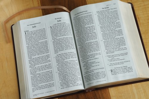 NIV & The Message Side By Side Large Print Brown Imitation Leather