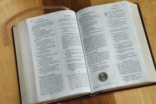 NIV & The Message Side By Side Large Print Brown Imitation Leather