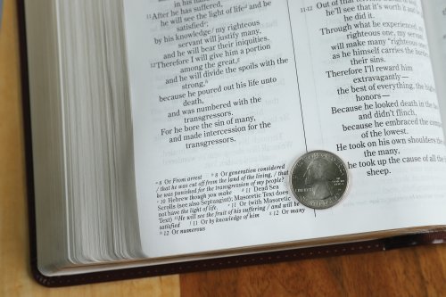 NIV & The Message Side By Side Large Print Brown Imitation Leather