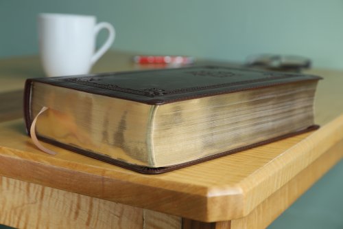 NIV & The Message Side By Side Large Print Brown Imitation Leather