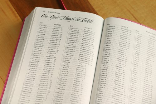 NIV, Women's Devotional Bible, Imitation Leather, Pink