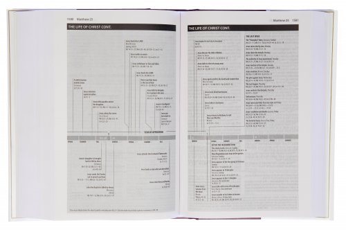 Amplified Study Bible, Brown, Hardback, Large Print, Study and Practical Theological Notes, Book Introductions, Translators' Footnotes, Topical Index, Full-Colour Maps