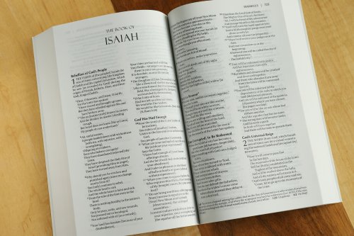Amplified Thinline Holy Bible: Paperback