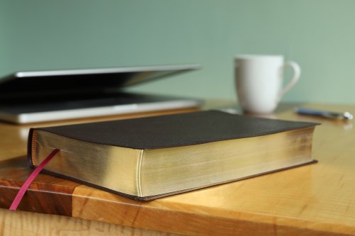 Amplified Large Print Holy Bible: Burgundy, Bonded Leather,