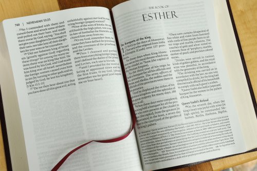 Amplified Large Print Holy Bible: Burgundy, Bonded Leather,