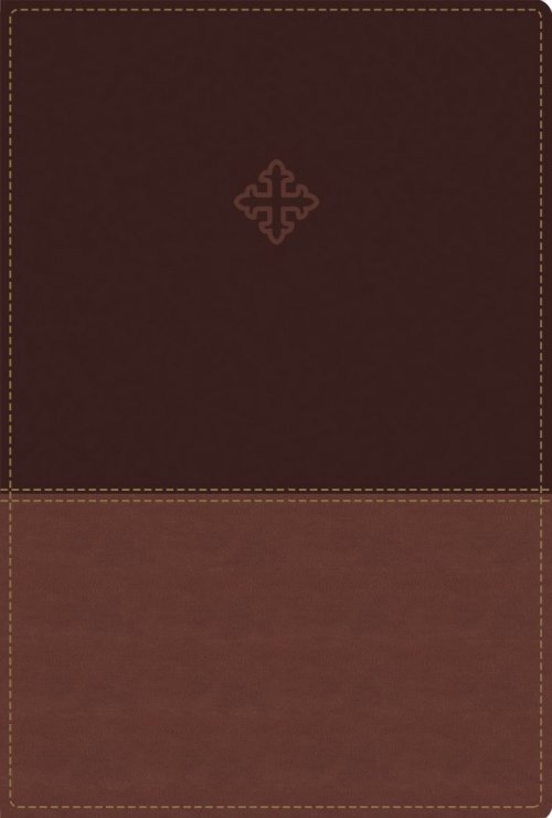Amplified Study Bible, Imitation Leather, Brown, Indexed