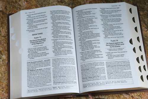 Amplified Study Bible, Imitation Leather, Brown, Indexed
