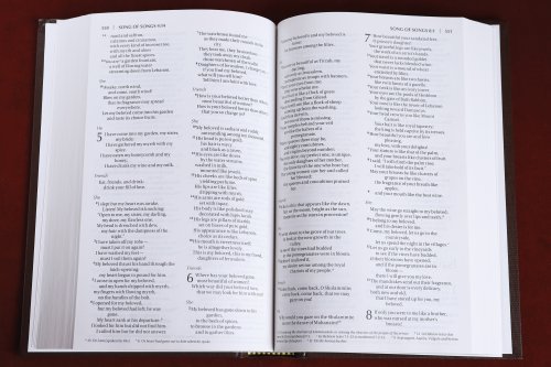 NIV, Church Bible (Value Pew Bible), Hardcover, Brown