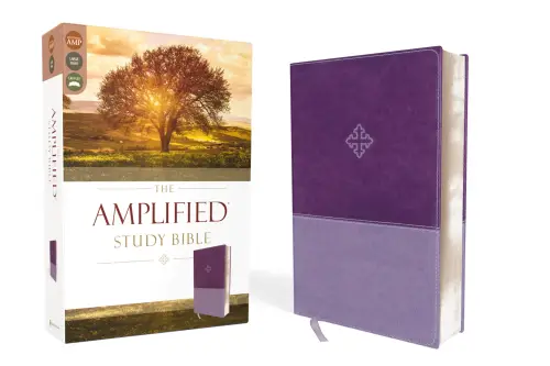Amplified Study Bible, Imitation Leather, Purple