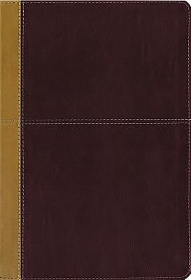 KJV, Amplified, Parallel Bible, Large Print