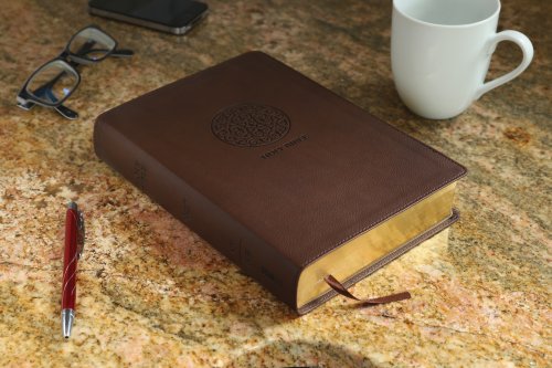 NIV, The Message, Parallel Bible