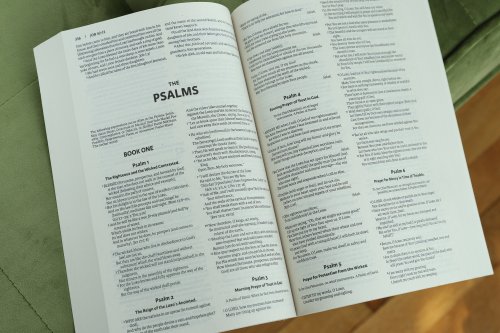 Amplified Outreach Bible, Paperback,God's Promises and Perspectives from the Bible, Double-Column Format