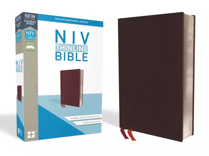 NIV, Thinline Bible, Bonded Leather, Burgundy, Red Letter Edition